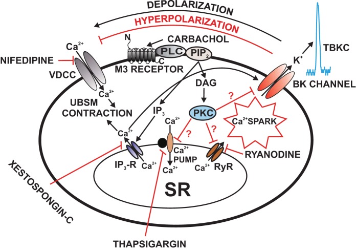 Fig. 4.