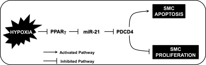 Fig. 8.