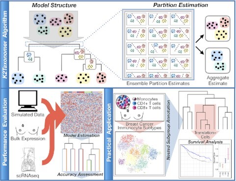 Graphical Abstract