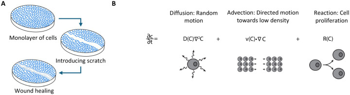 Figure 1: