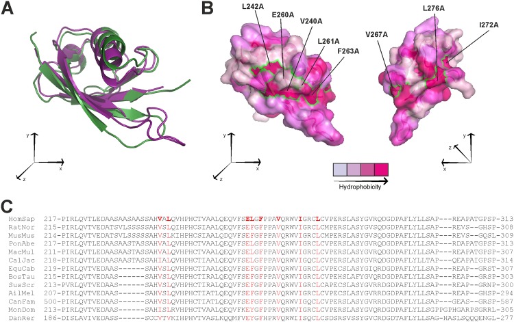 Fig 2