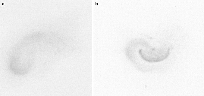 Fig. 3