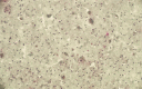 Fig. 9.