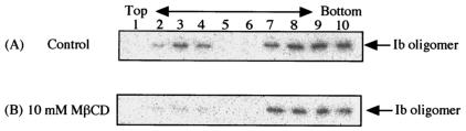 FIG. 5.