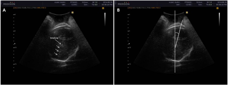 Fig. 7