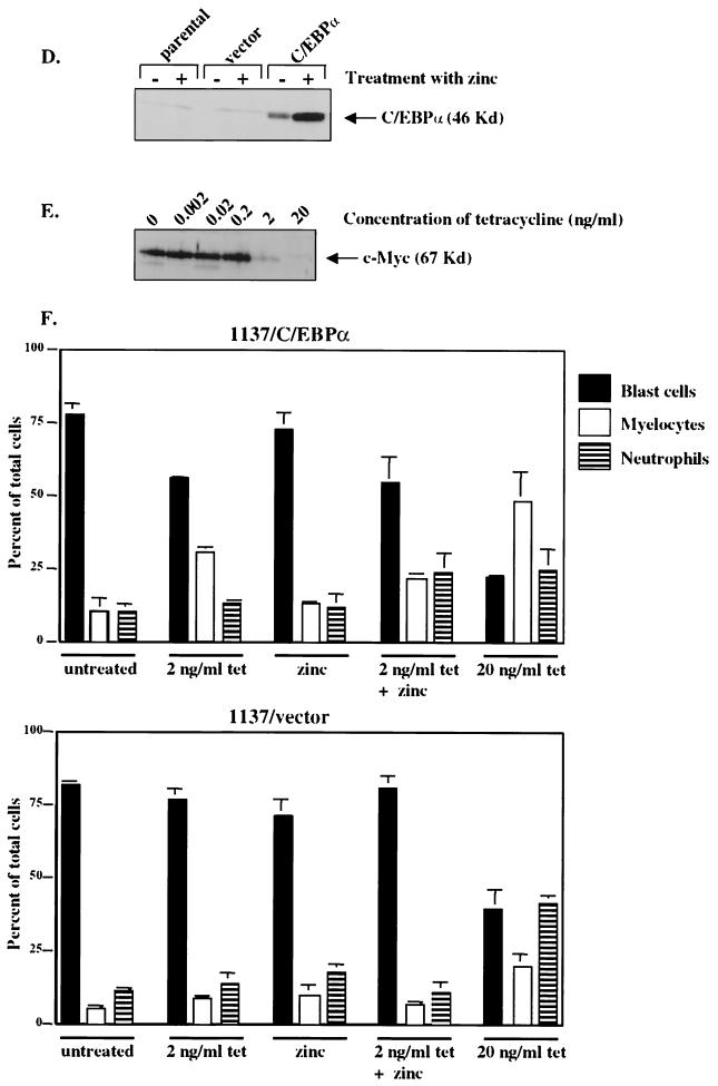 FIG. 8