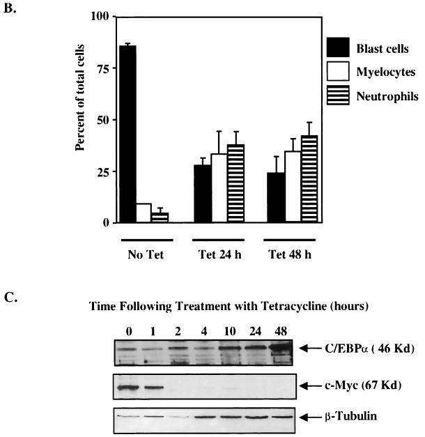 FIG. 8