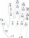 Fig 7