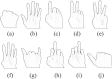 Fig 9