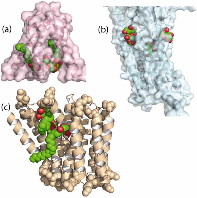 Fig. 15