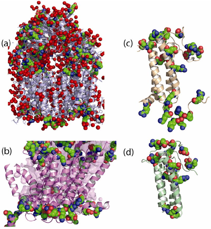 Fig. 13