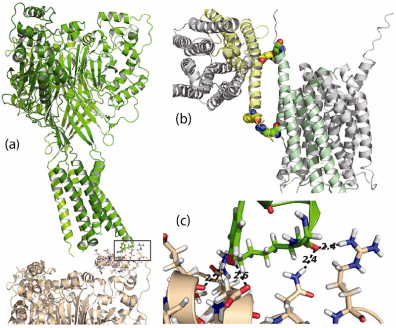 Fig. 11