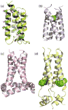 Fig. 9