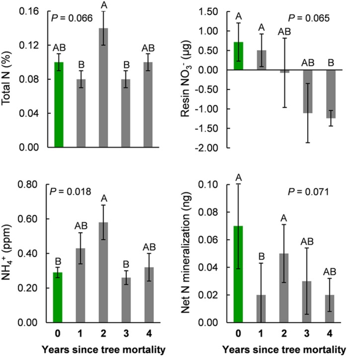 FIGURE 5