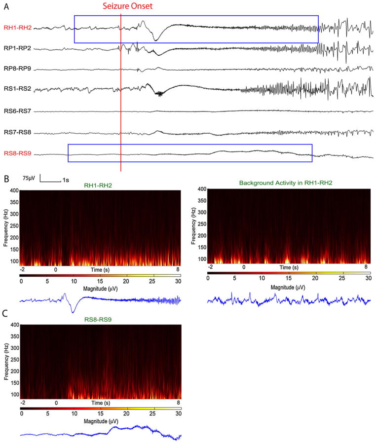 Fig. 7