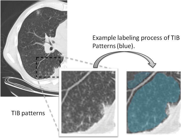 Fig. 1.