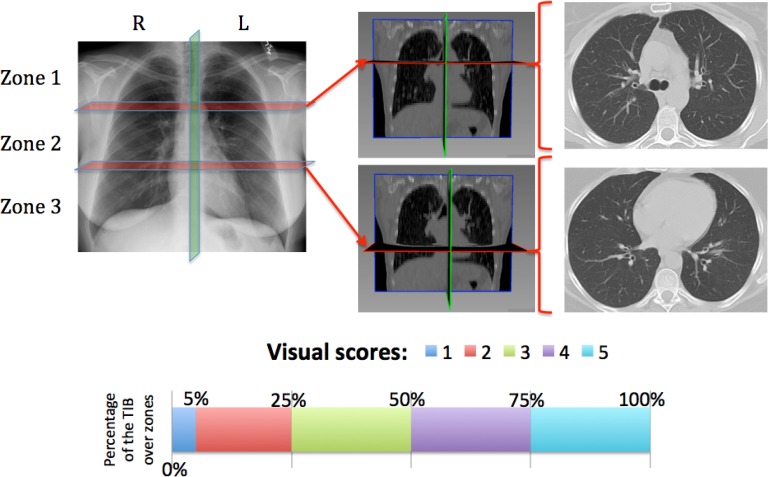 Fig. 8.