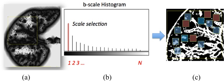 Fig.  4.