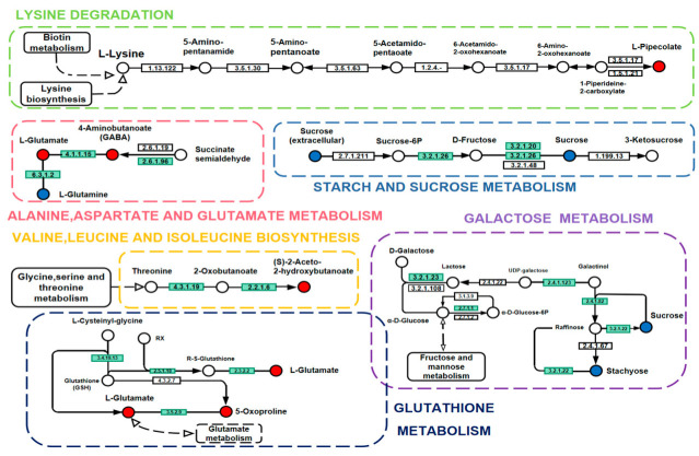 Figure 7