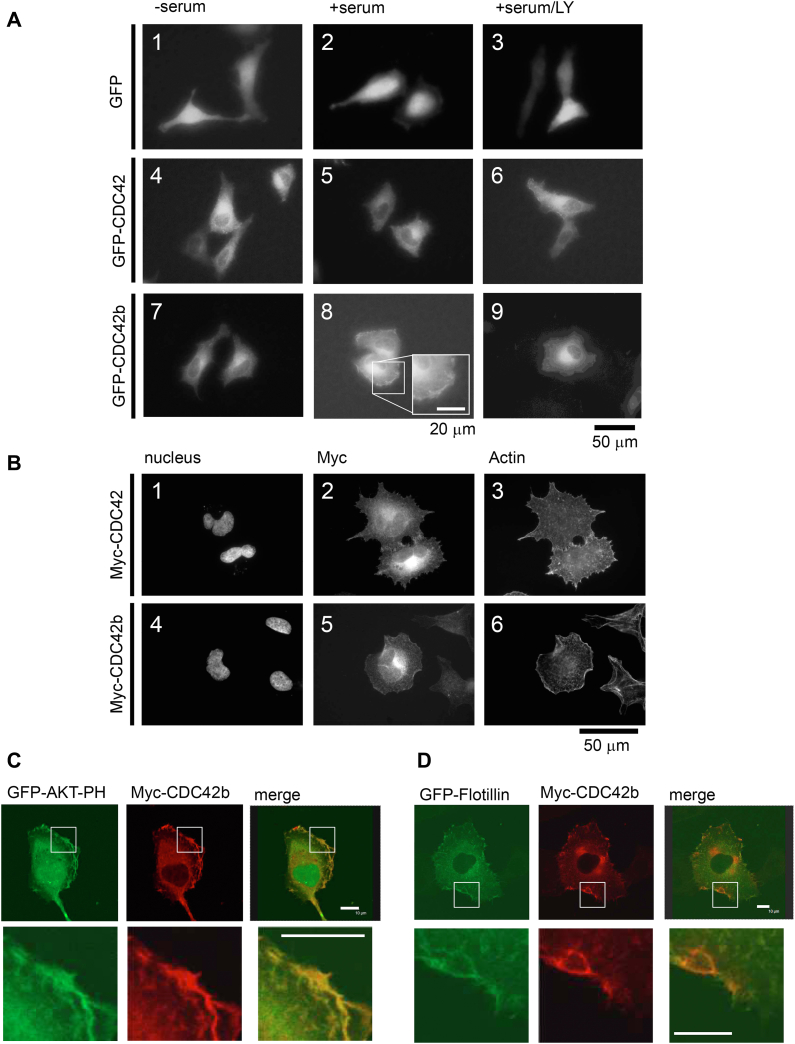 Figure 6