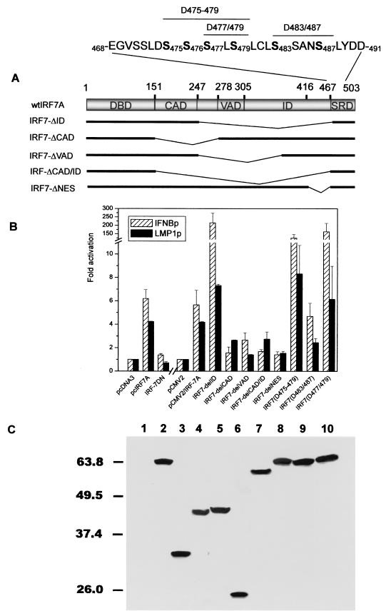 FIG. 2.