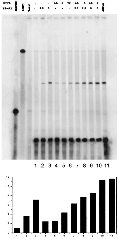 FIG. 6.