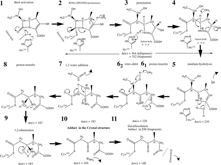 Fig. 7