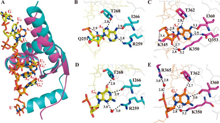 Figure 4.