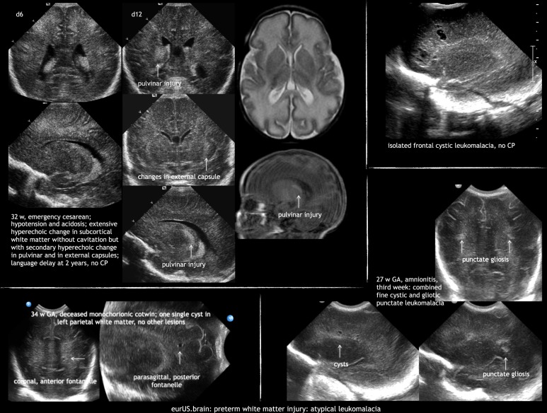 Fig. 7