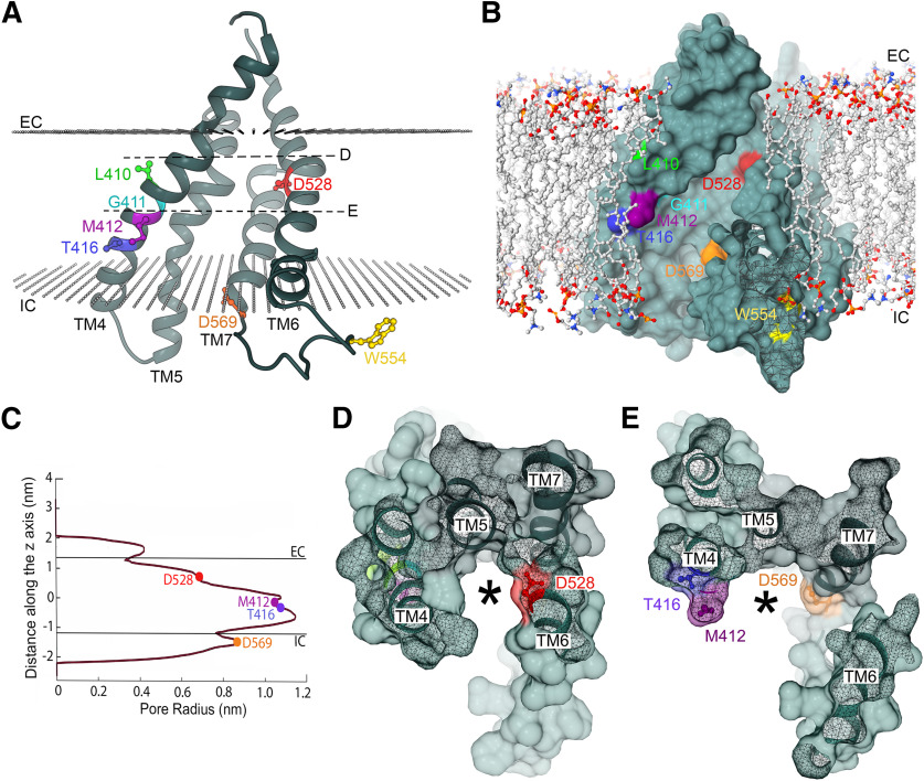 Figure 10.