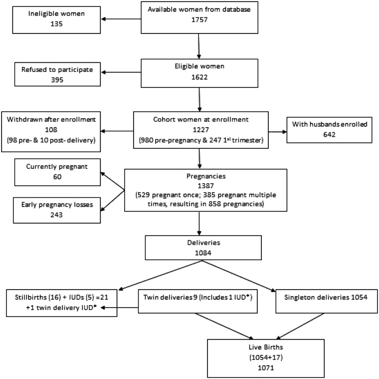 Figure 1.