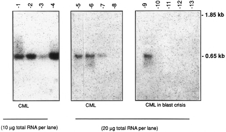 FIG. 4B