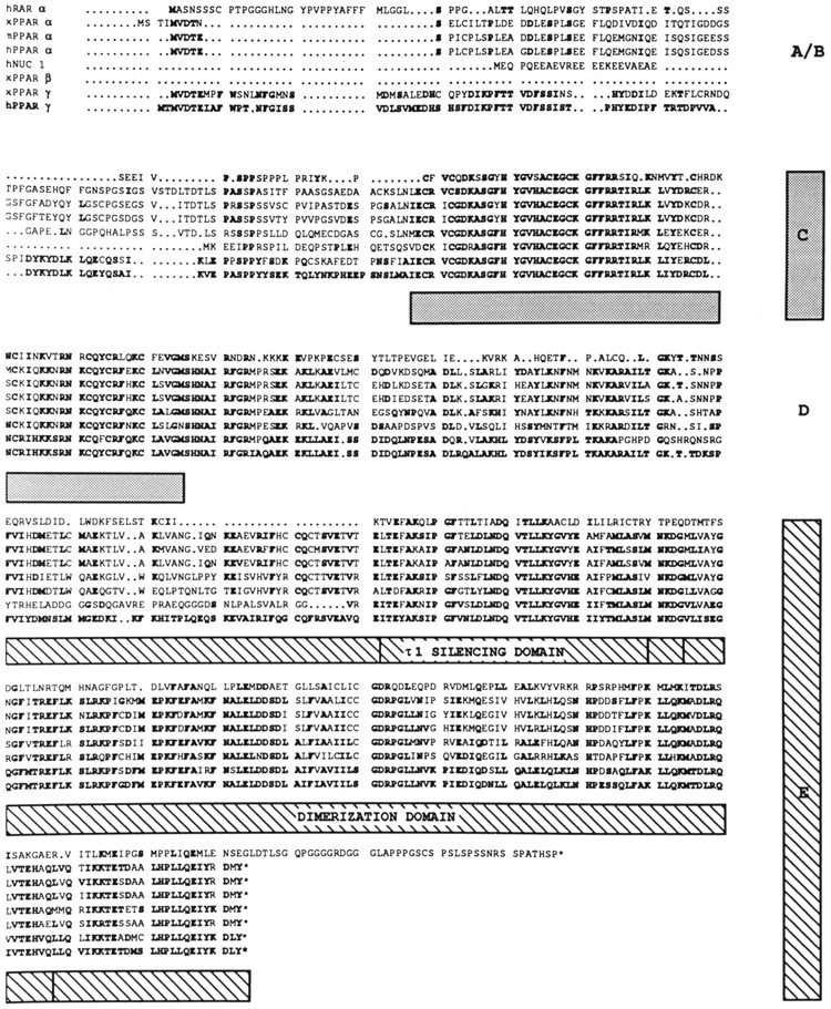 FIG. 2A