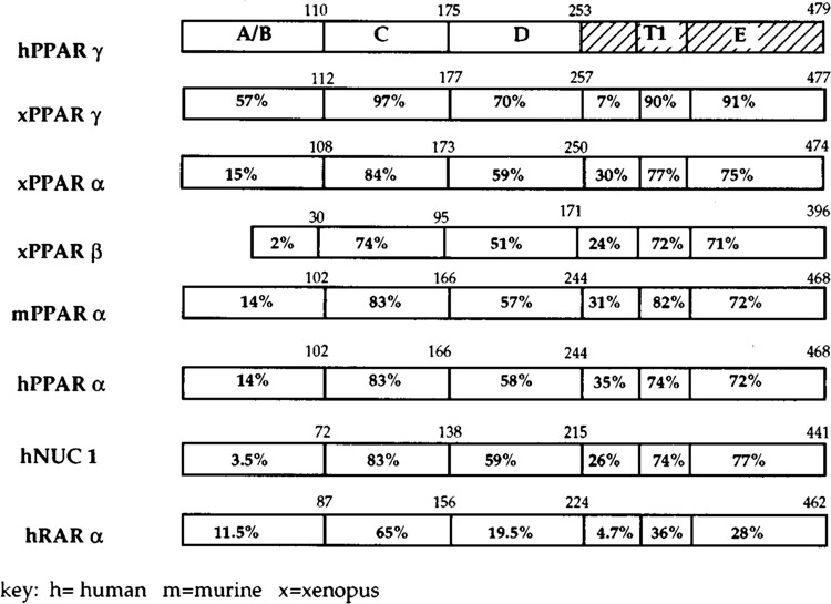 FIG. 2B