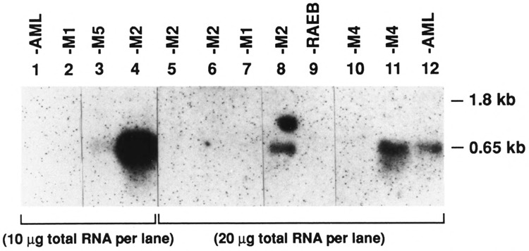 FIG. 4C