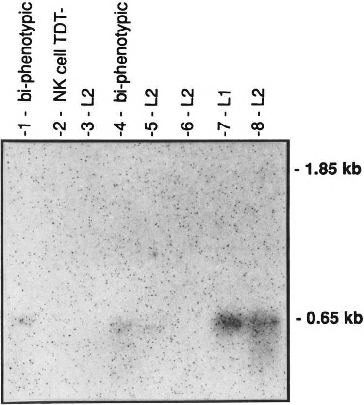 FIG. 4A