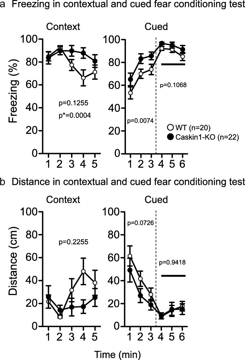 Fig. 10