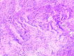 Fig 7.