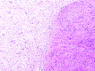 Fig 8.