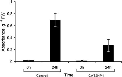 Figure 7.