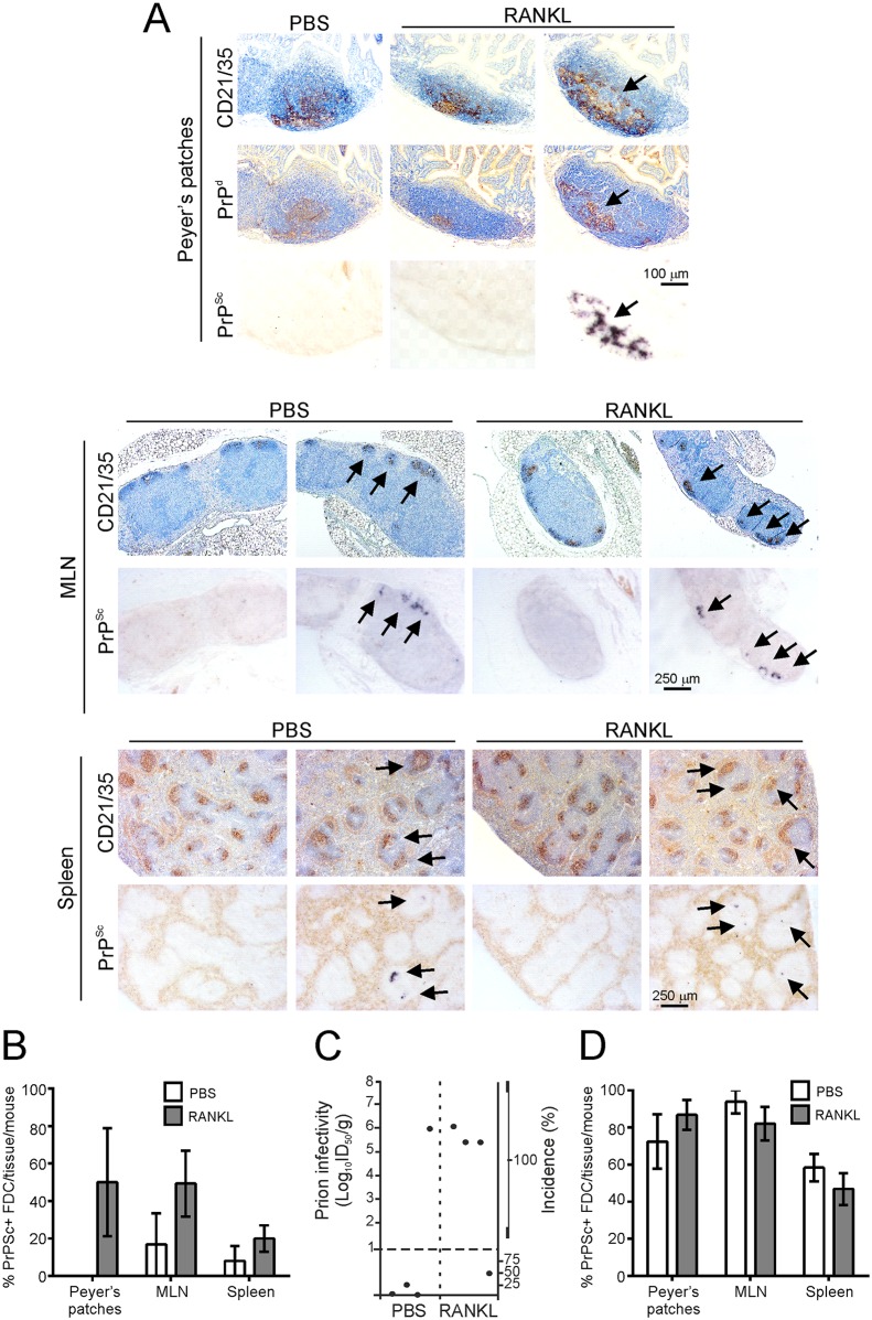 Fig 9