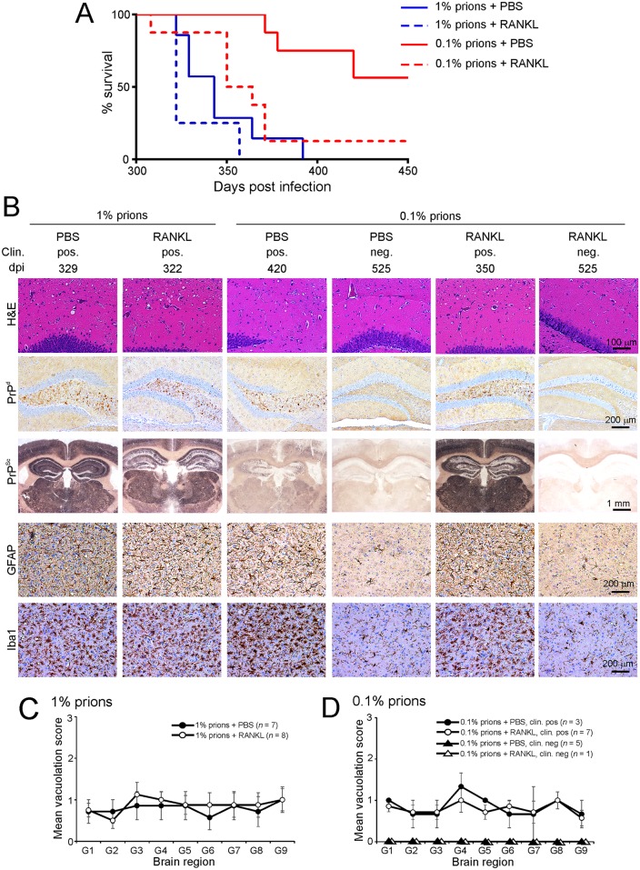 Fig 8