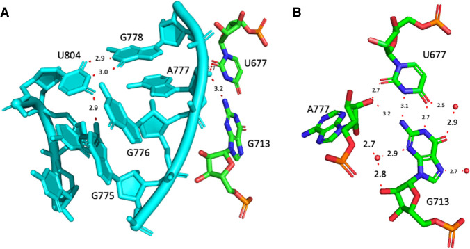 FIGURE 2.