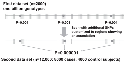 Figure 7)