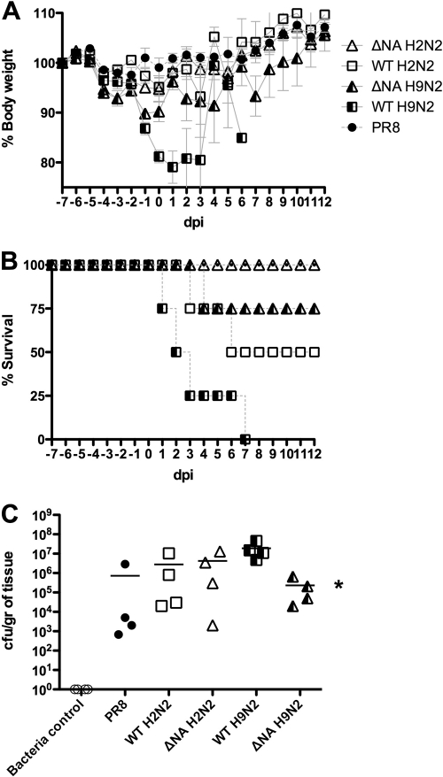 Fig 6