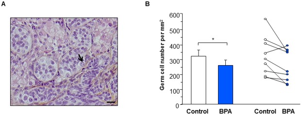 Fig 5