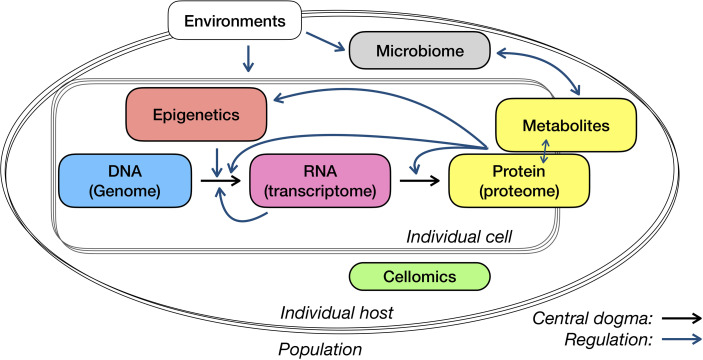 Figure 2