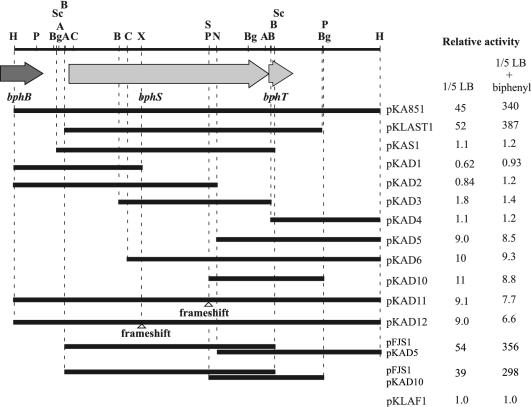 FIG. 6.