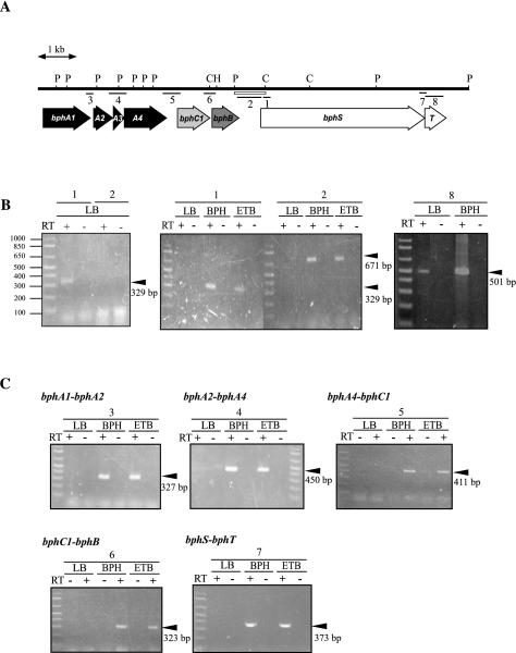 FIG. 7.