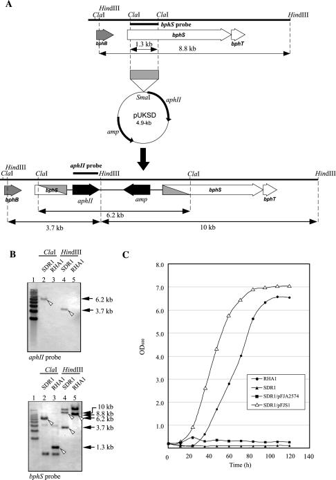 FIG. 8.